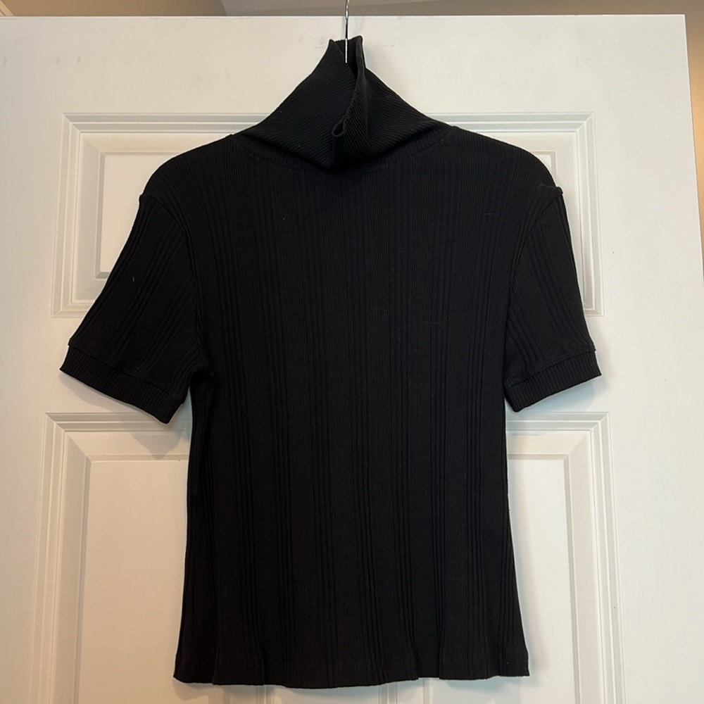 NWT Zara Short Sleeve Turtleneck